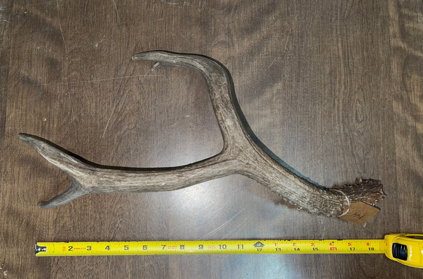 BF-144- Mule Deer Shed