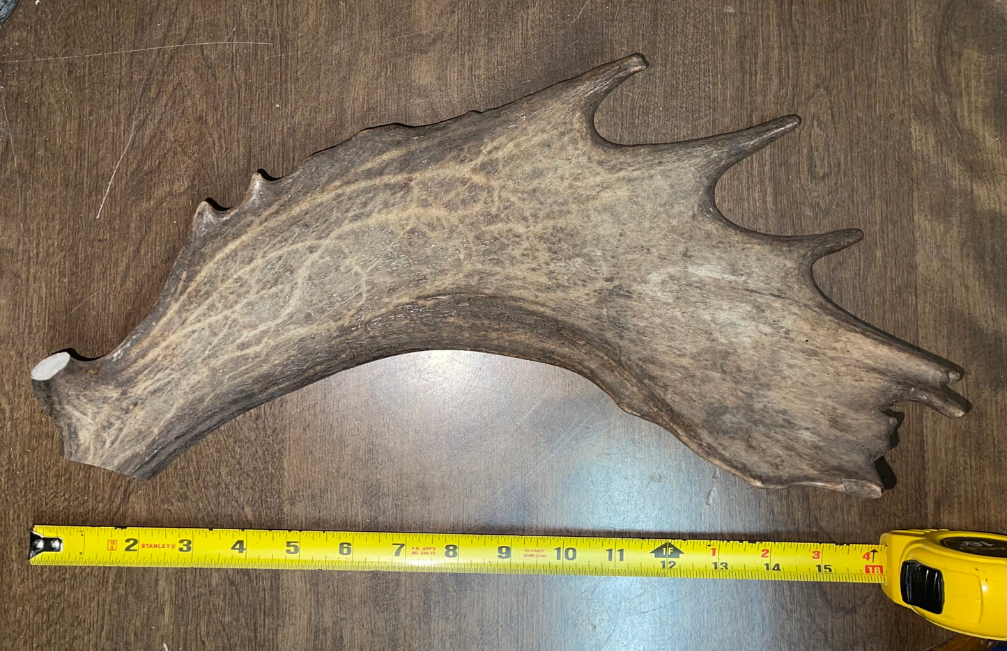 BF-60- Fallow Deer Paddle