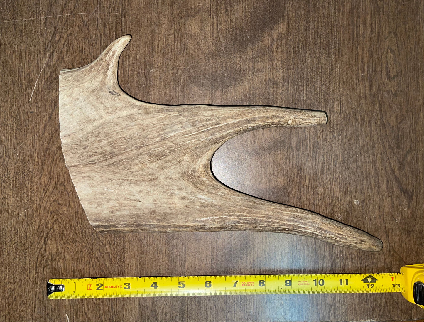 BF-41- Monster Moose Paddle