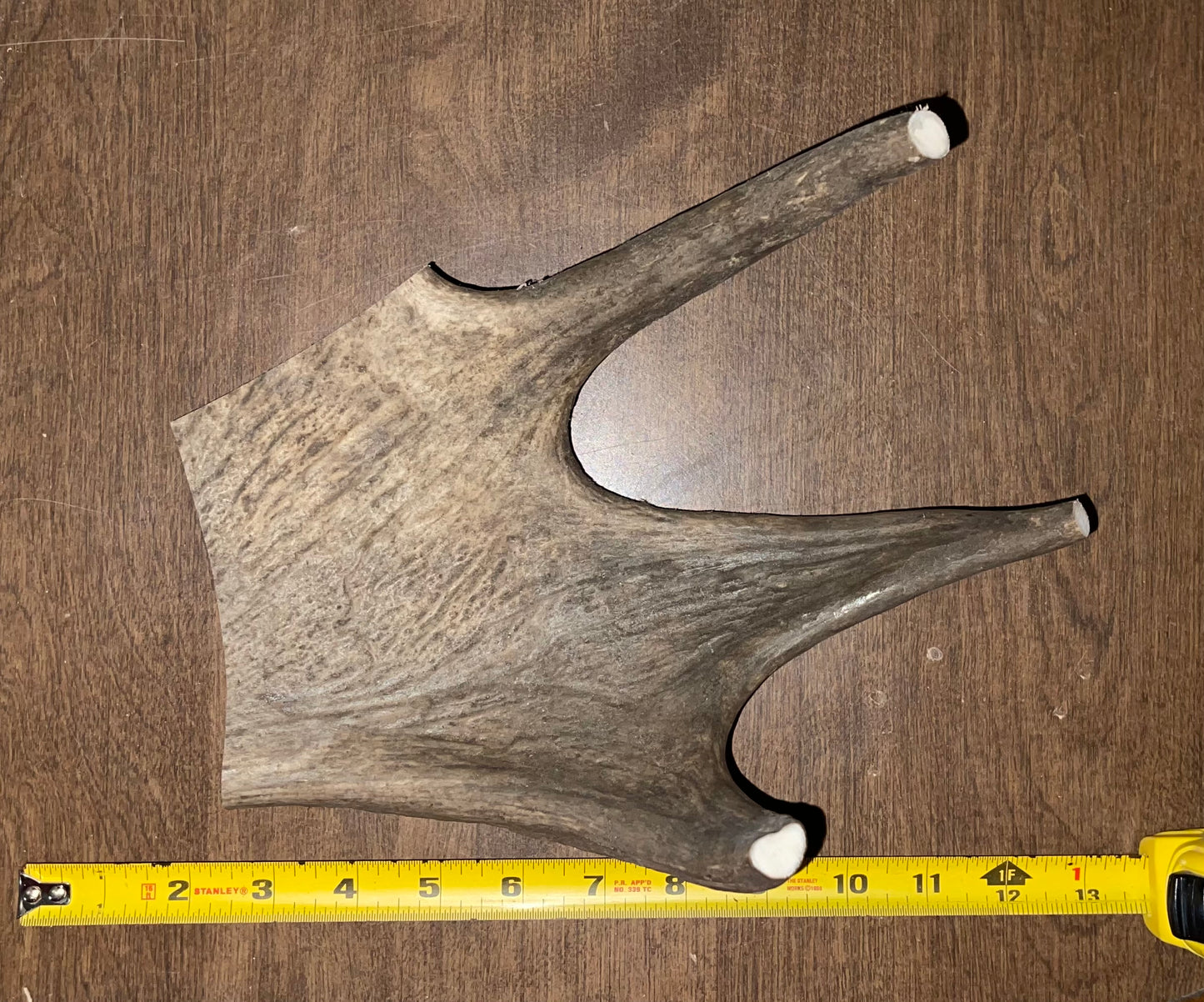 BF-18- Monster Moose Paddle