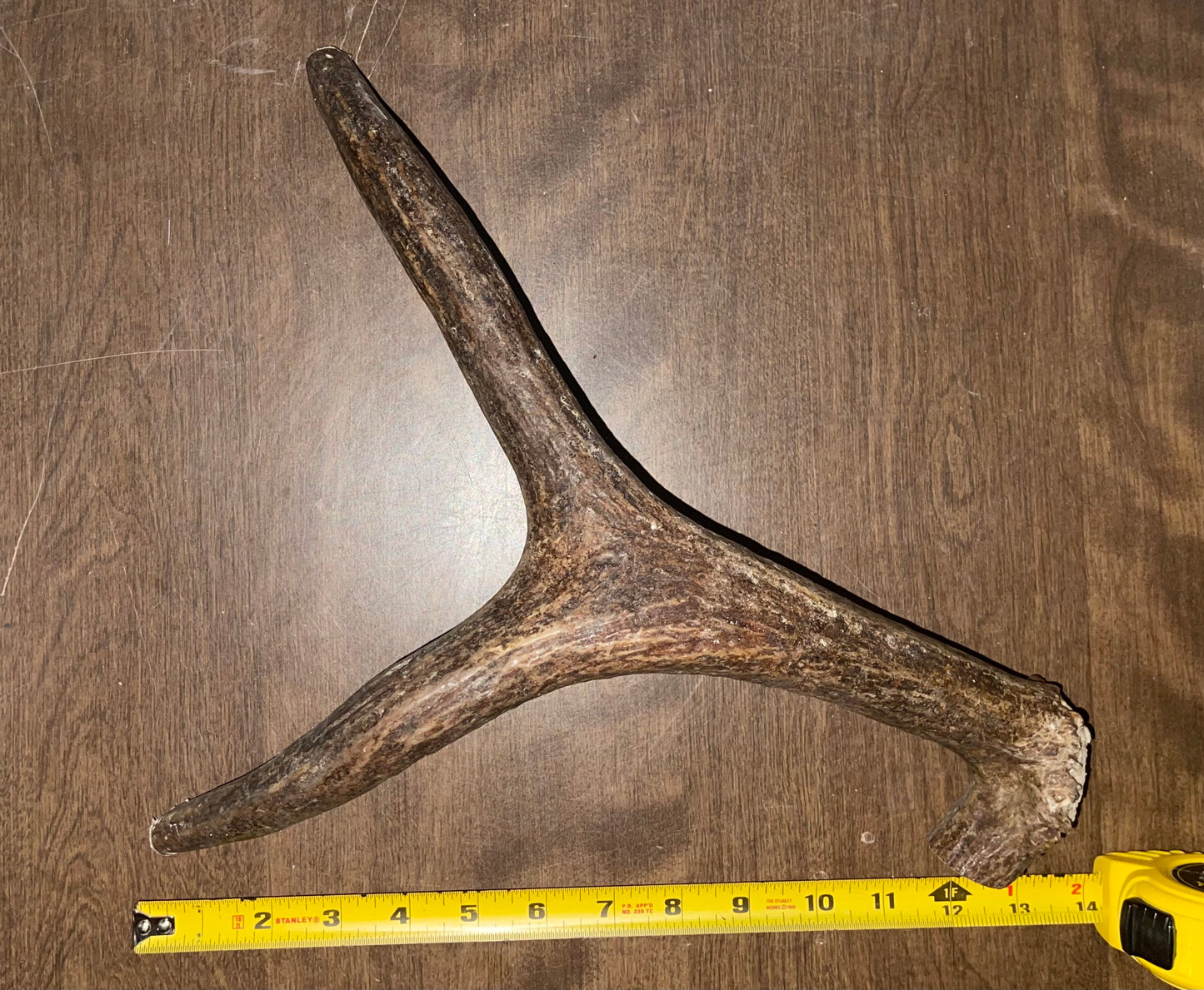 Oct -39 Moose Shed