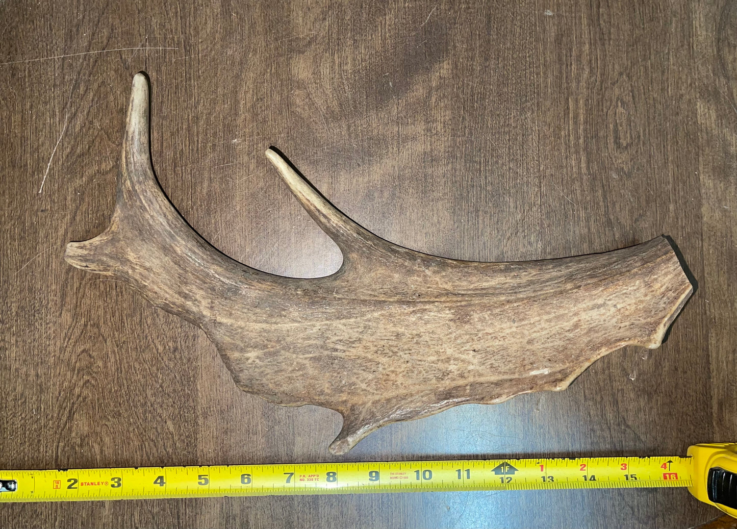 BF-54- Fallow Deer Paddle