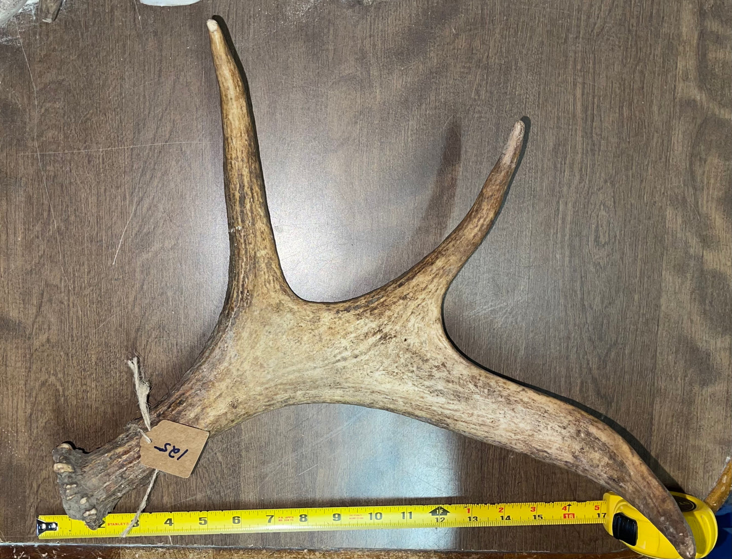 BF-125-Moose Shed
