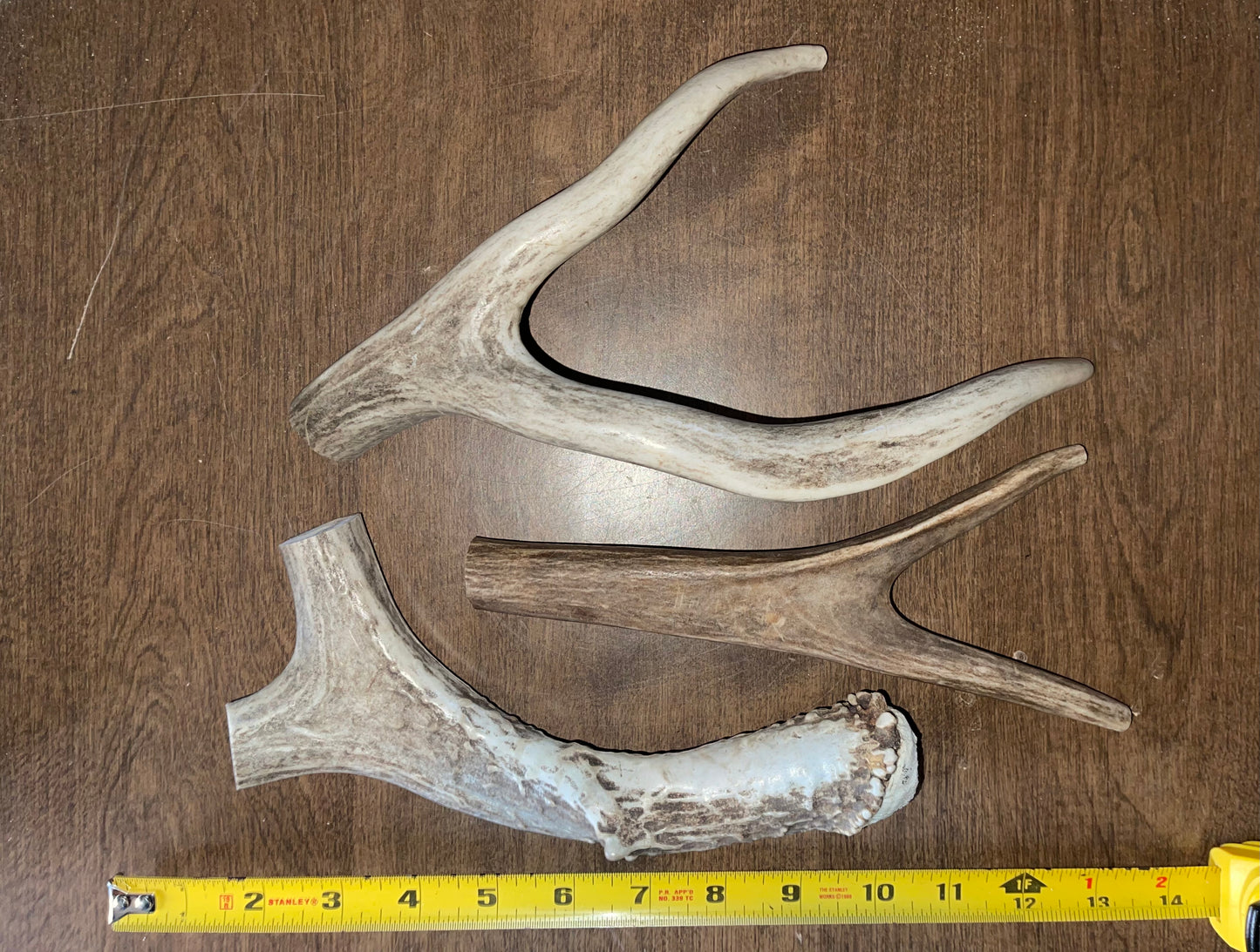 BF-86- Mule Deer Trio
