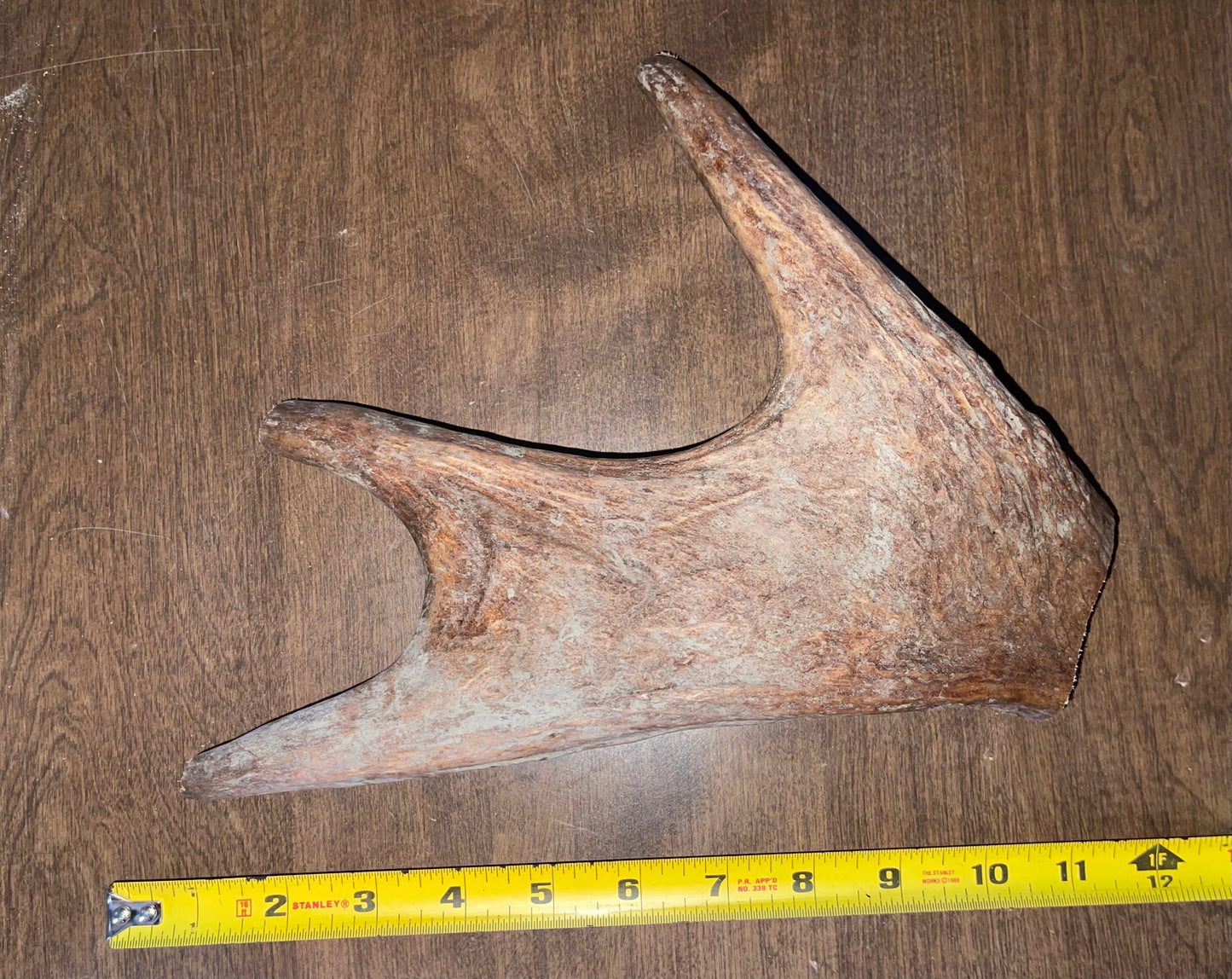 BF-13-XL Plus Moose Paddle