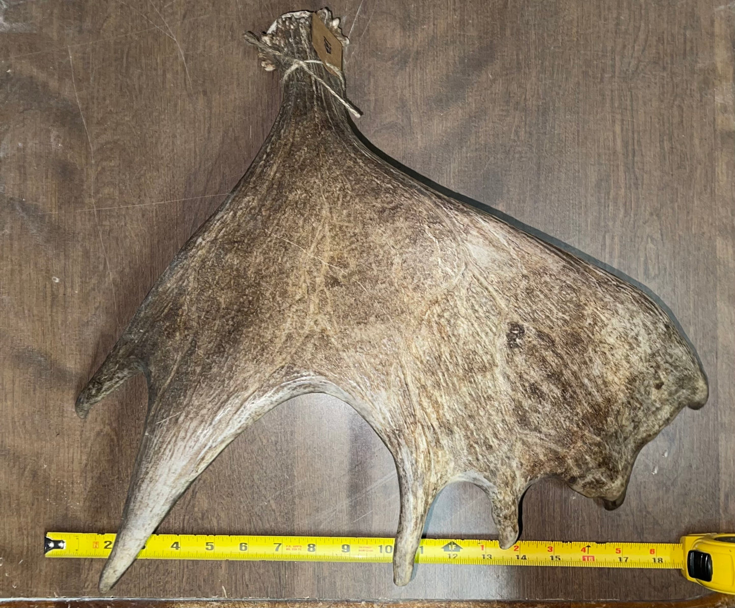 BF-133-Moose Shed