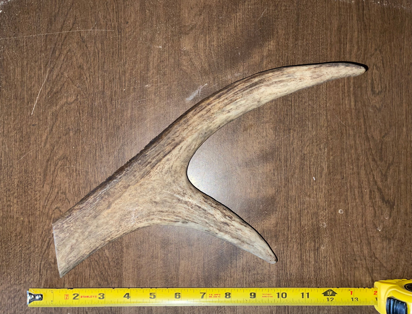 BF-97- Moose Claw