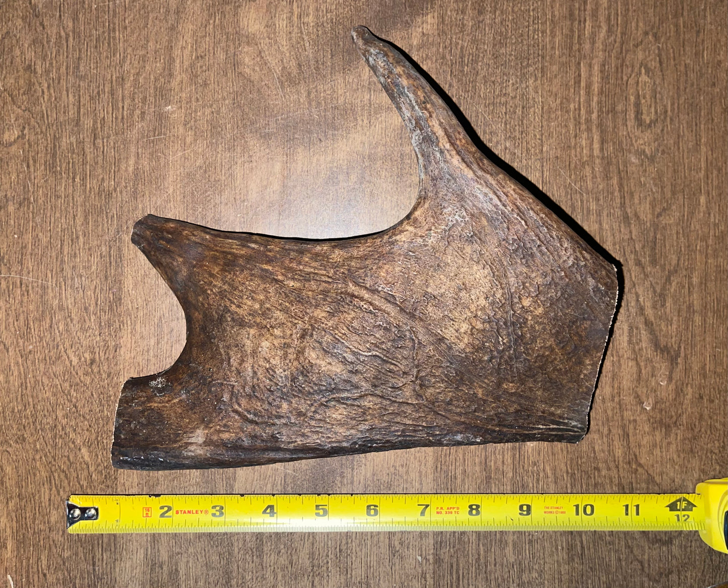 BF-14-XL Plus Moose Paddle