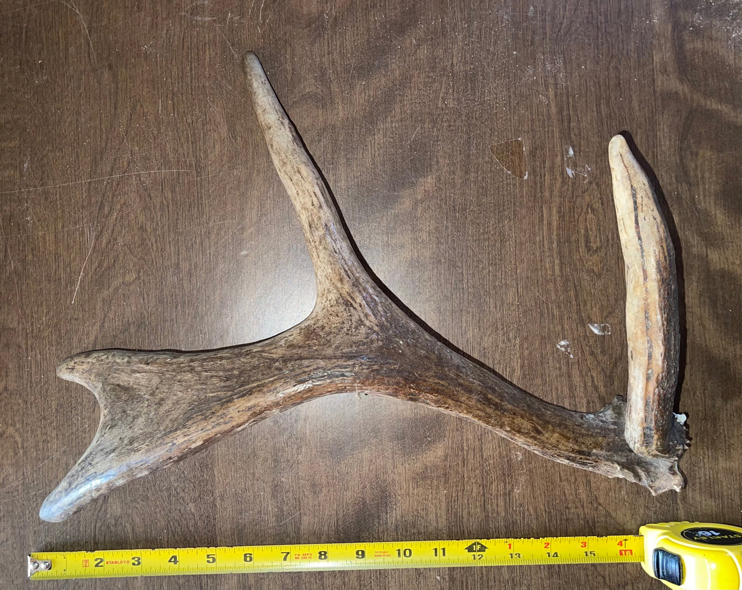 April17 Moose Shed