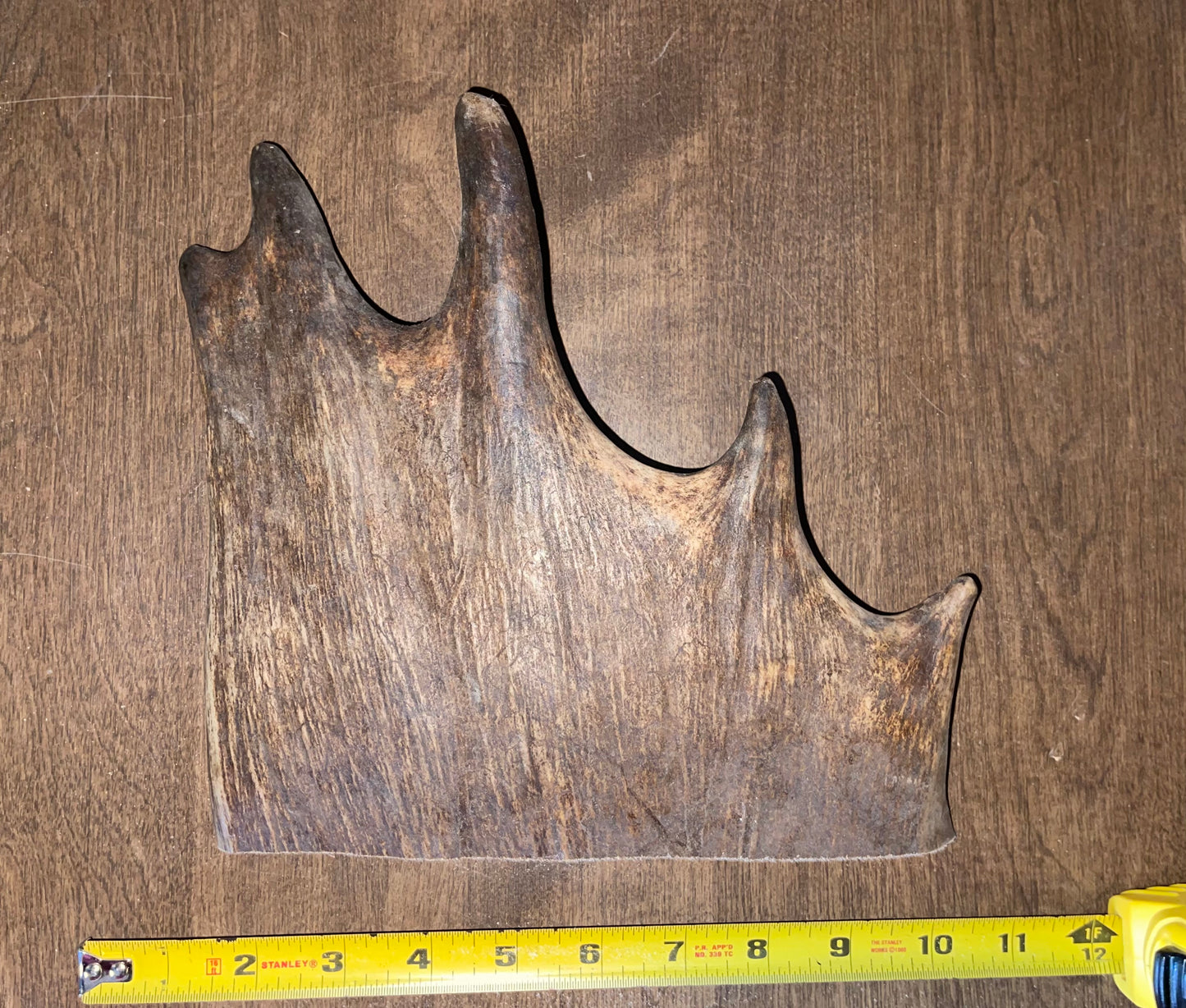 BF-22-Monster Moose Paddle