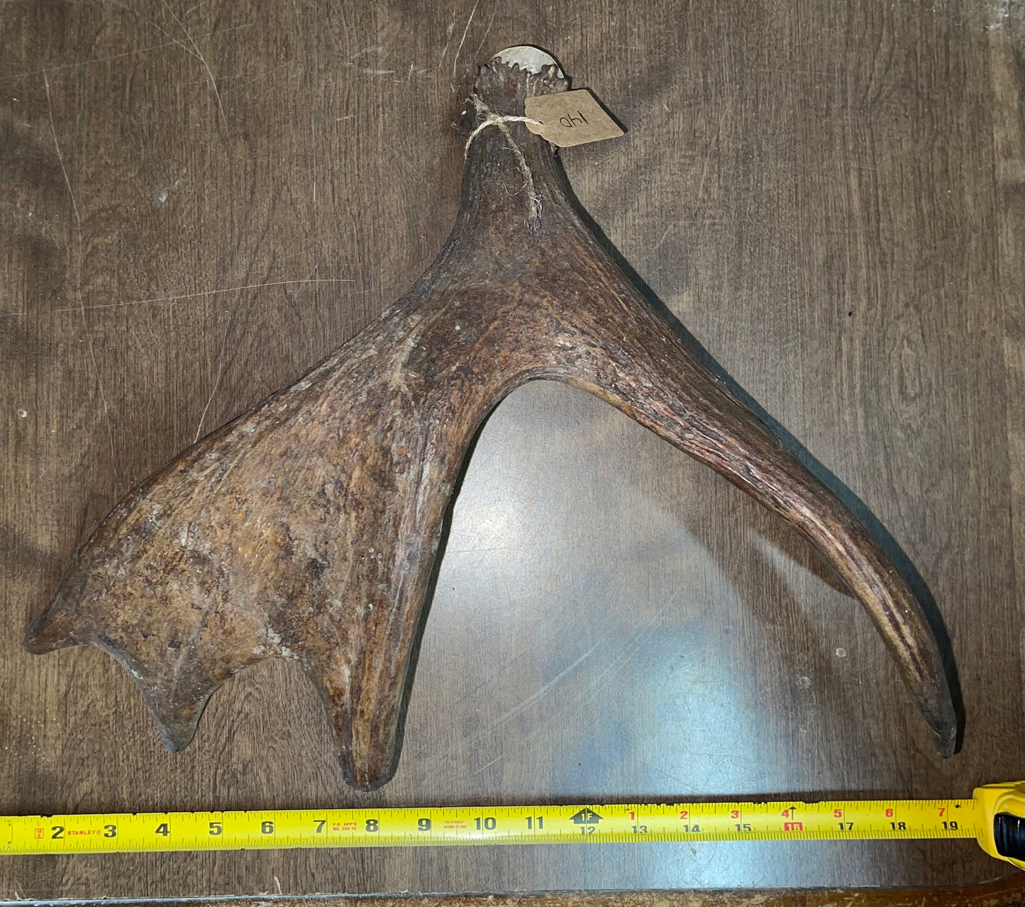 BF-140-Moose Shed