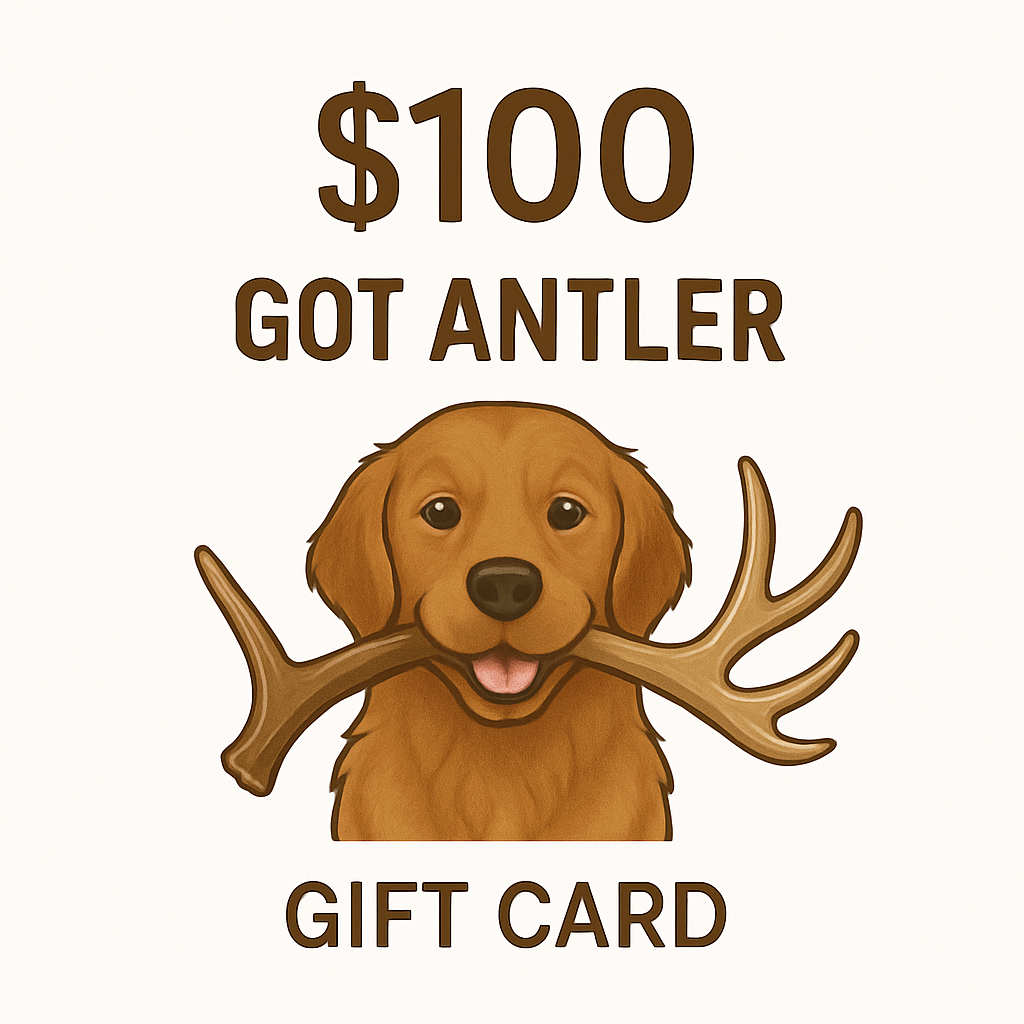 Got Antler Gift Card