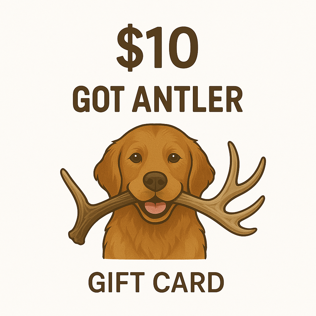 Got Antler Gift Card