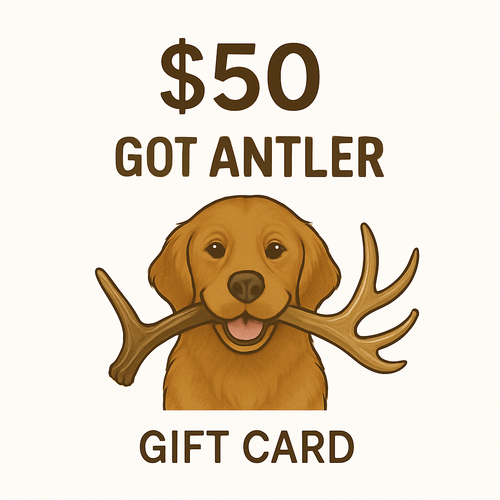 Got Antler Gift Card