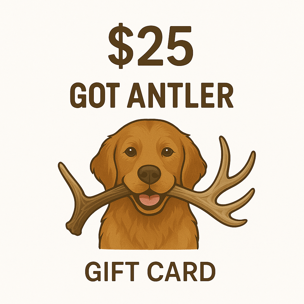 Got Antler Gift Card