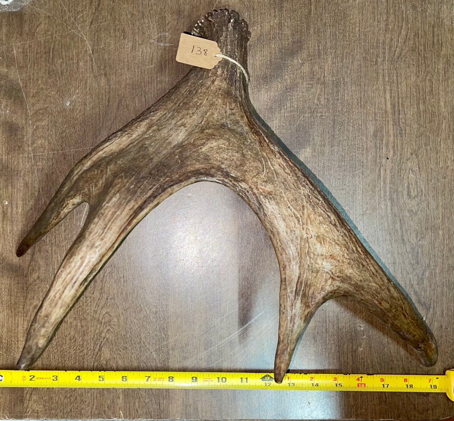 BF-138-Moose Shed