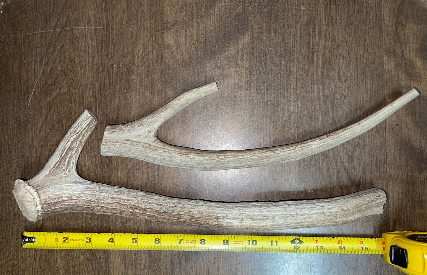 BF-65- Axis Deer Beam Duo