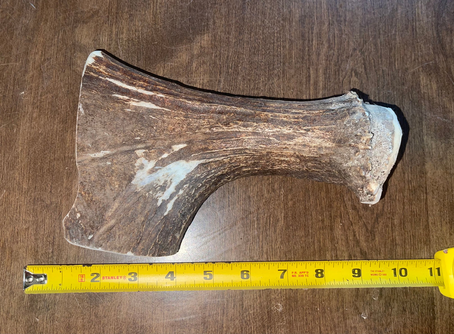 July-14 Moose Beam 2XL for very good to powerful chewers