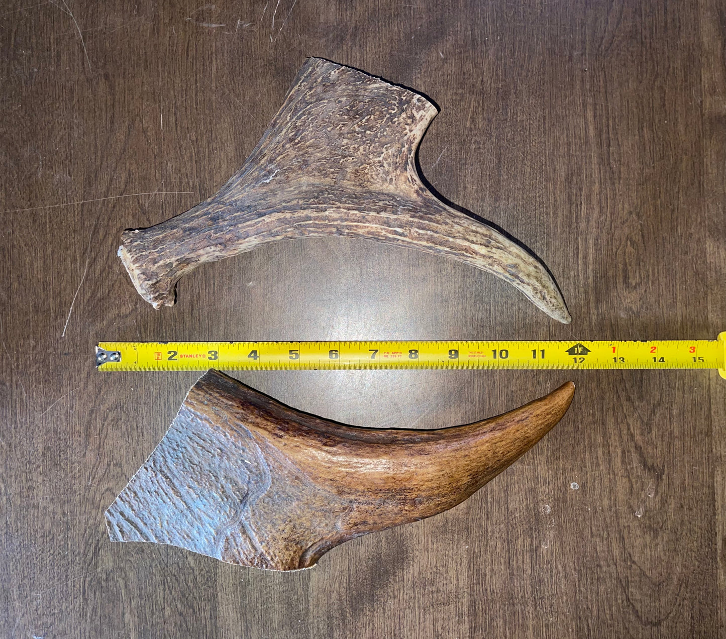 Clearance-4-Moose Beam/Tine Duo