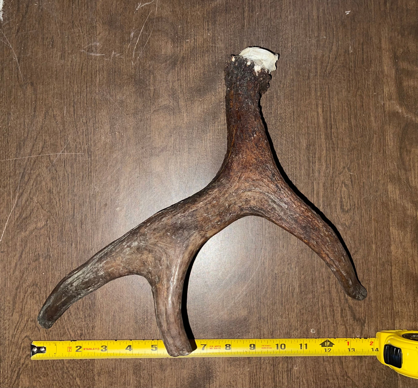 Oct -26 Moose Shed
