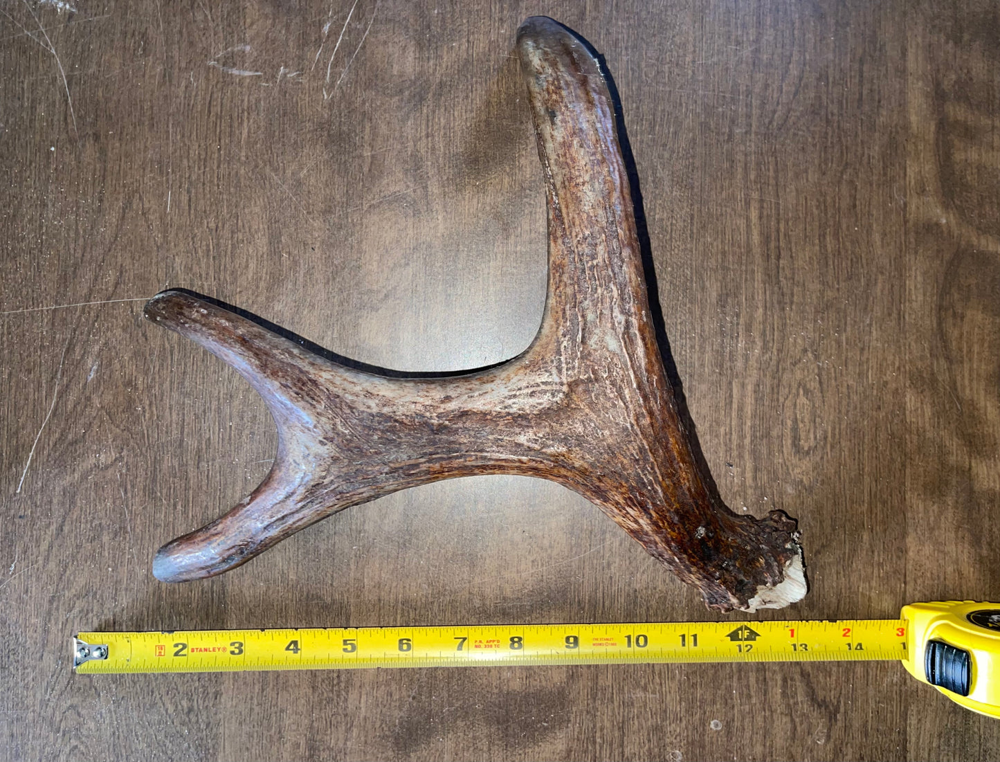 Clearance-35- Moose Shed