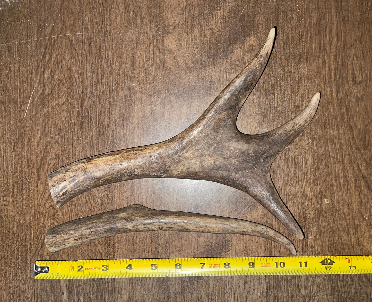 BF-78- Caribou Paddle Fan/Tine Duo
