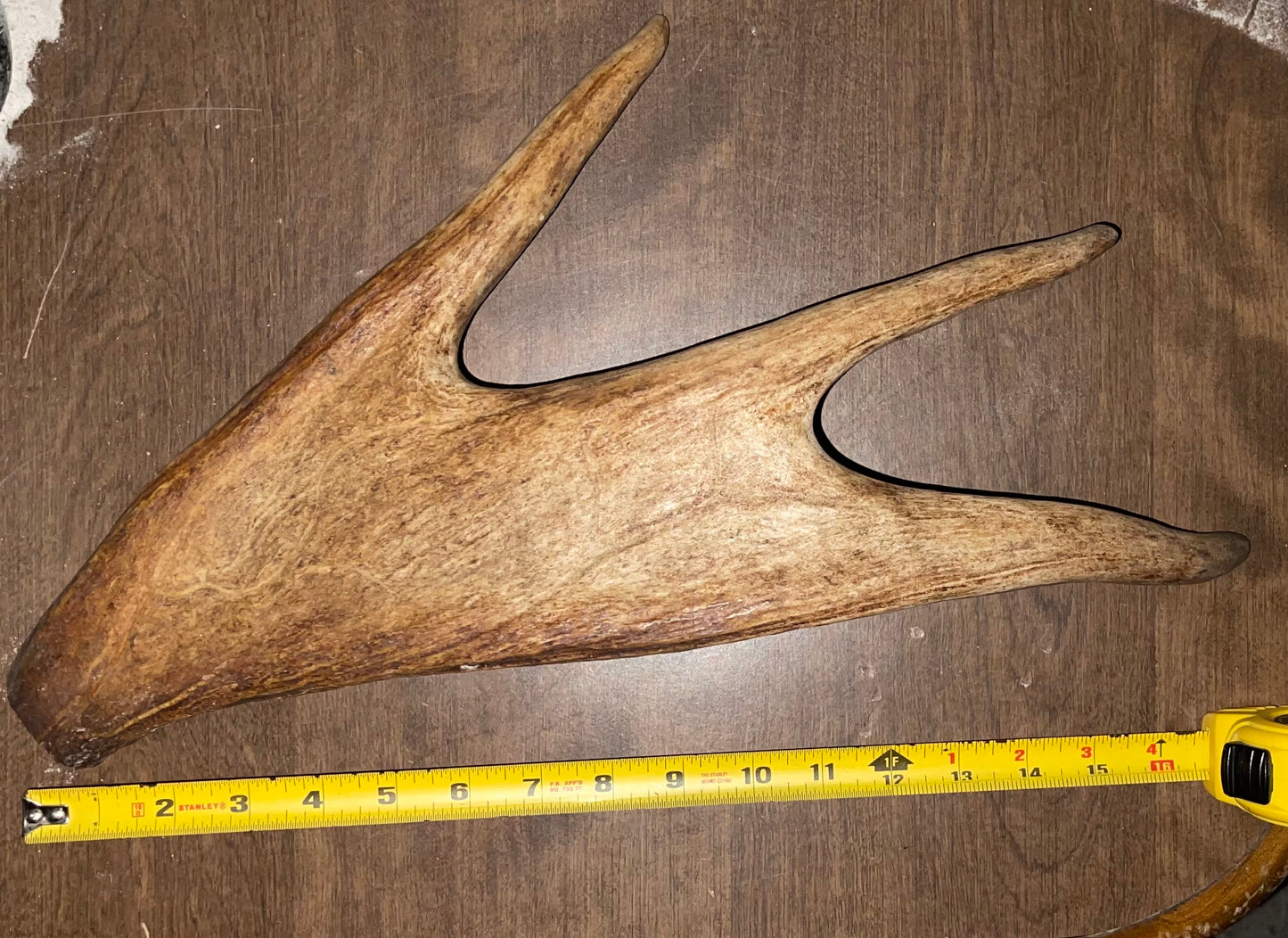 BF-40-Dino Moose Paddle