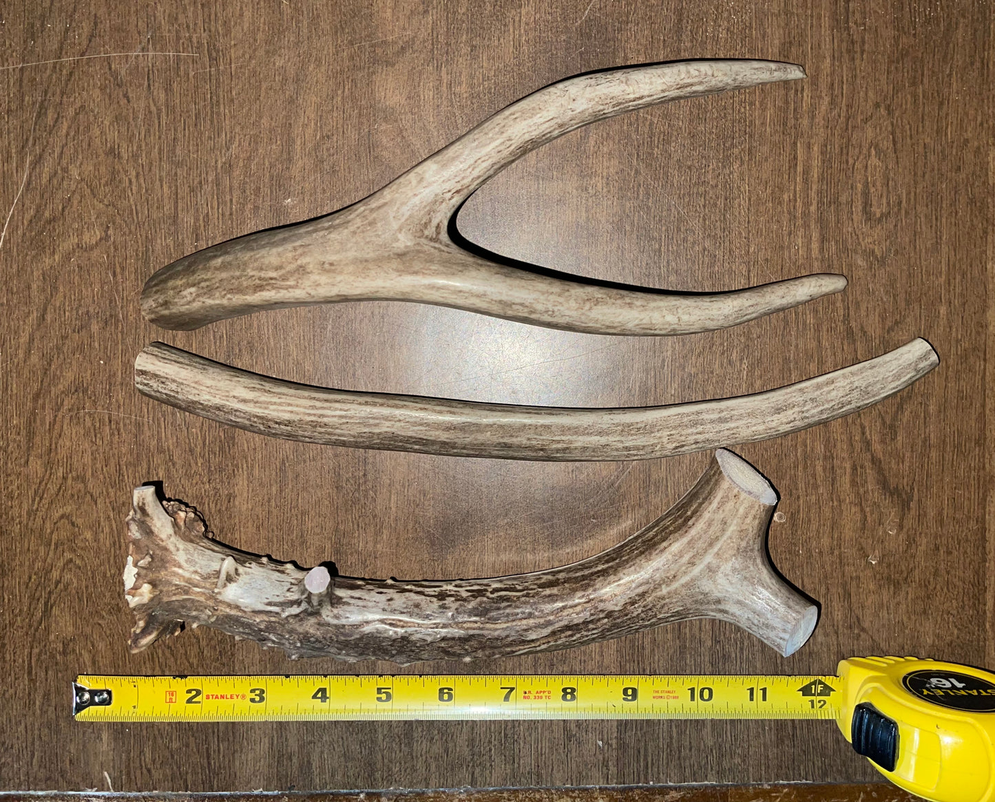 BF-82- Mule Deer Trio