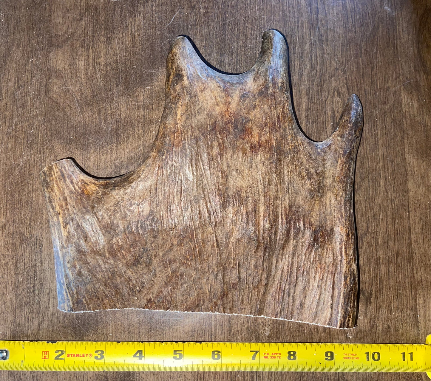 Sept-71-Monster Moose Paddle XL for good chewers