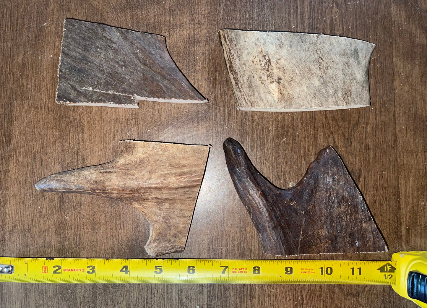 Sept-37-Small Moose Paddle Grab Bag for to medium to good chewers ( scratch and dent)