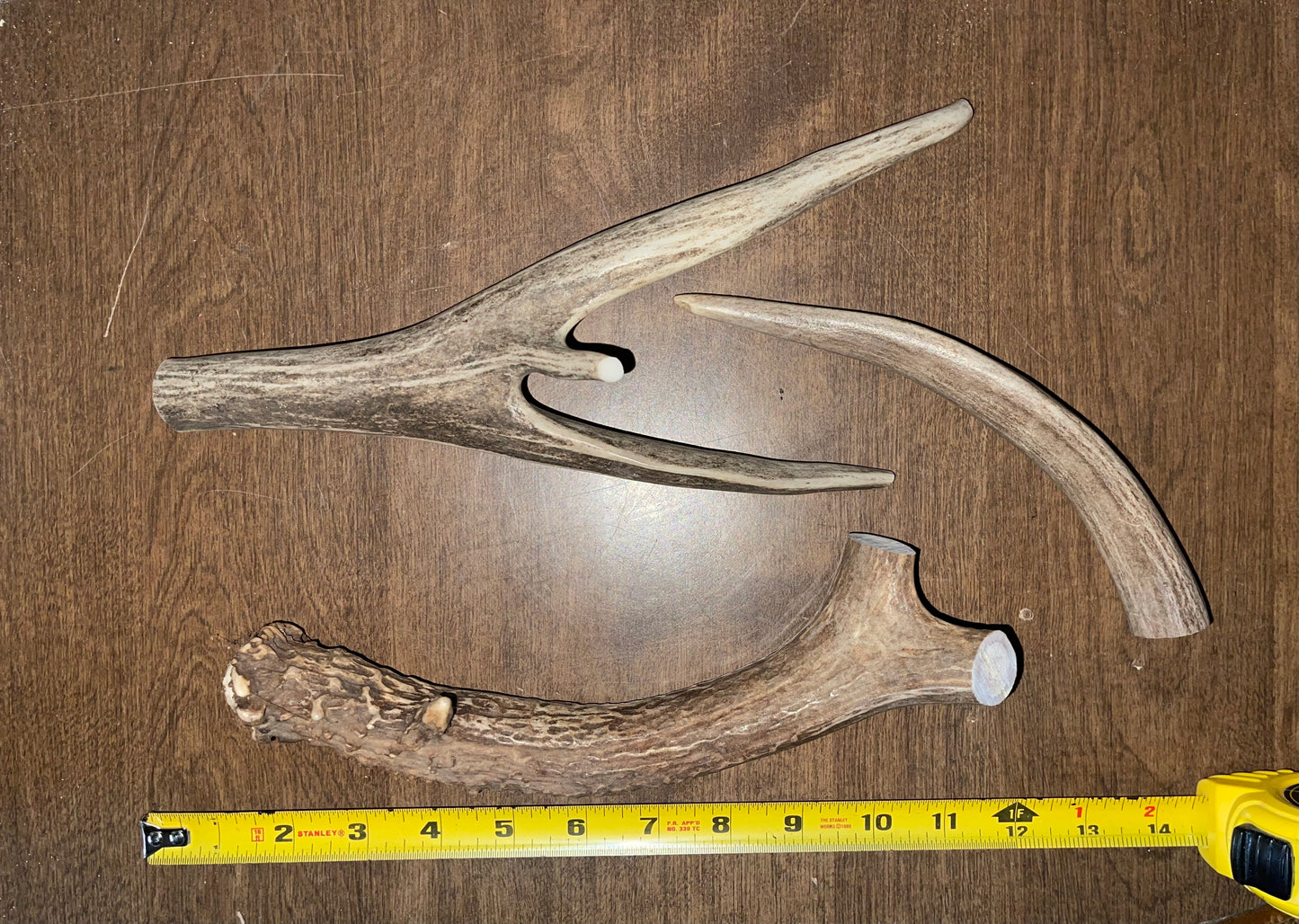 BF-85- Mule Deer Trio