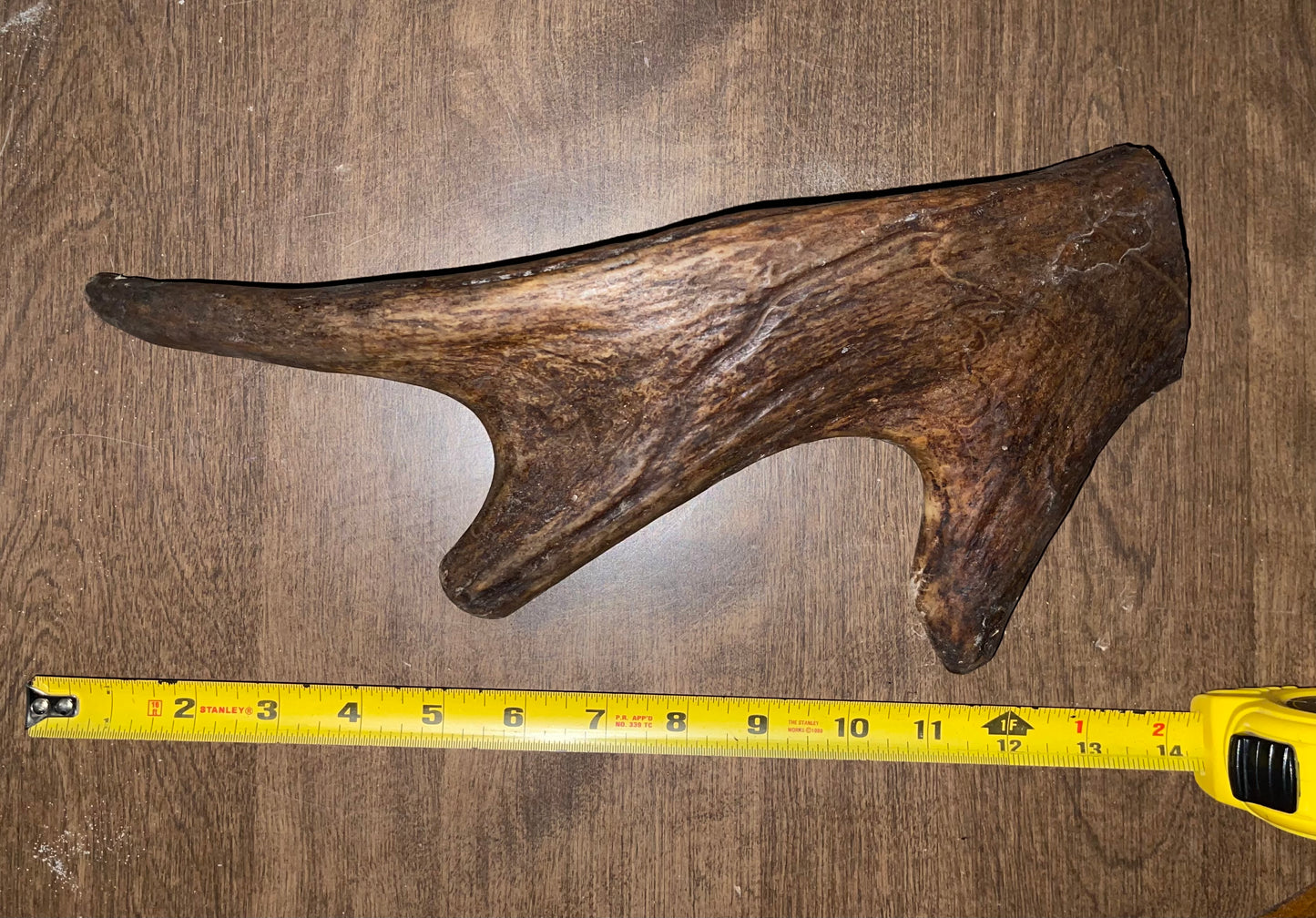 BF-38-Monster Moose Paddle
