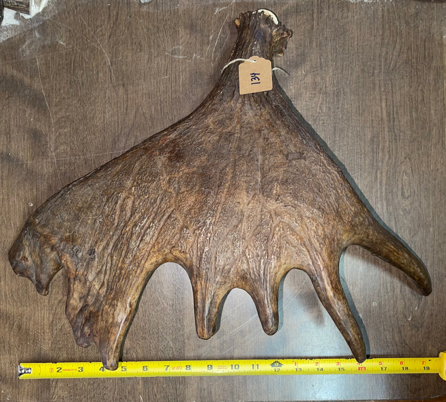 BF-134-Moose Shed