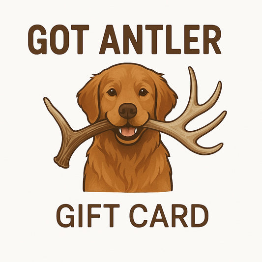 Got Antler Gift Card