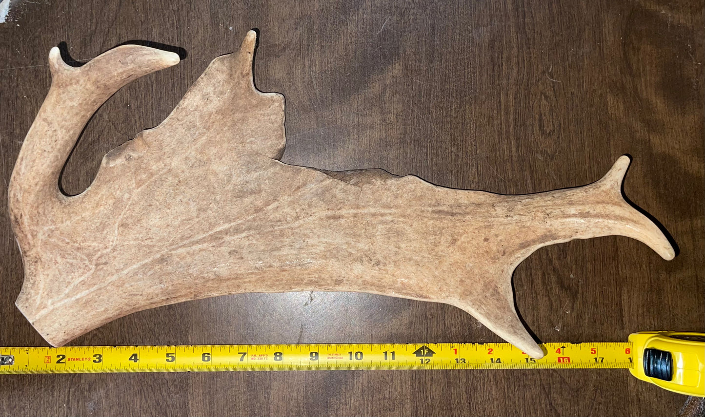 #1 Fallow Deer Paddle