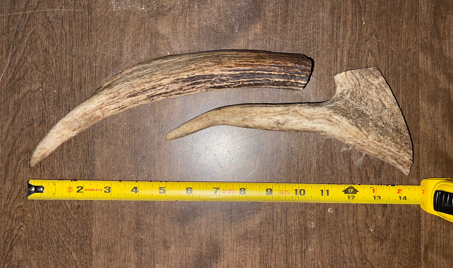 #5- 8/17/23 Duo Moose Tines