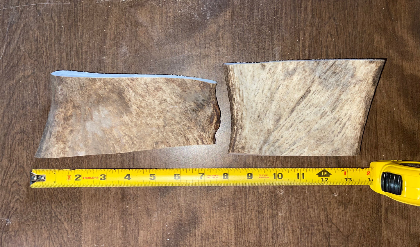 #1-8/17/23 Duo Moose Paddle