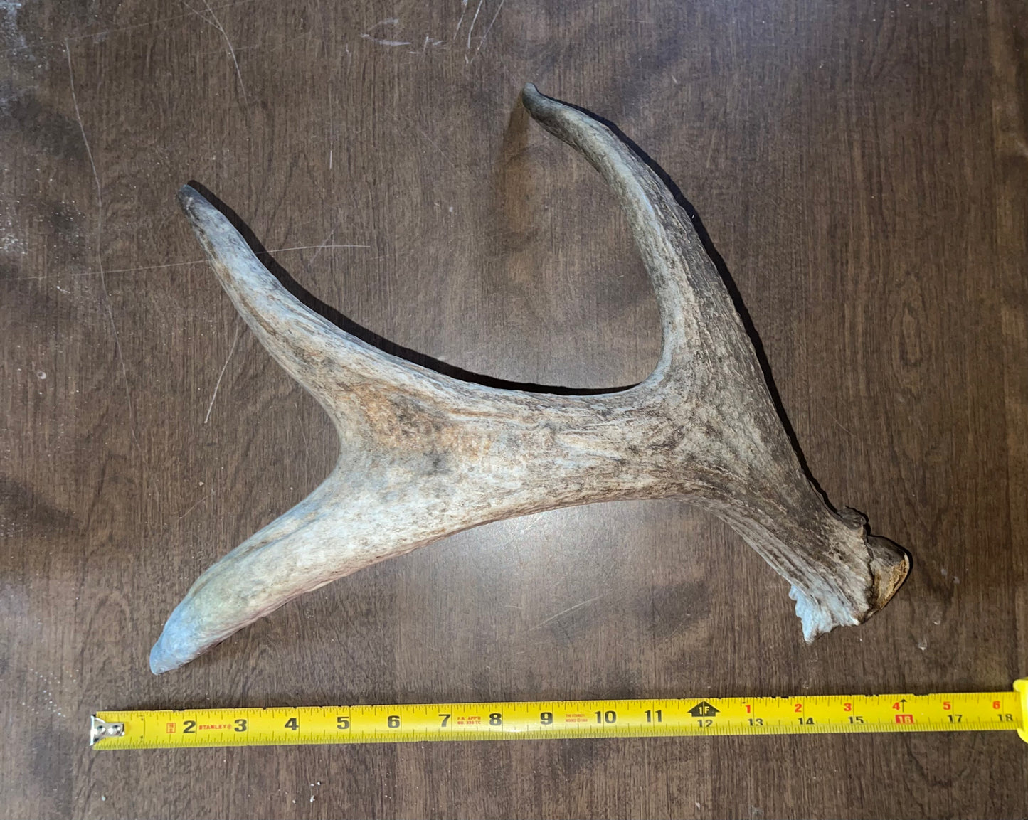 Moose Shed #July18