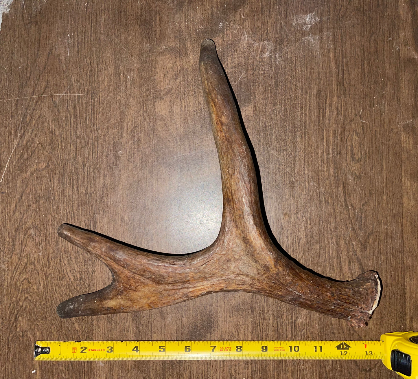 #10-8/17/2 Moose Shed