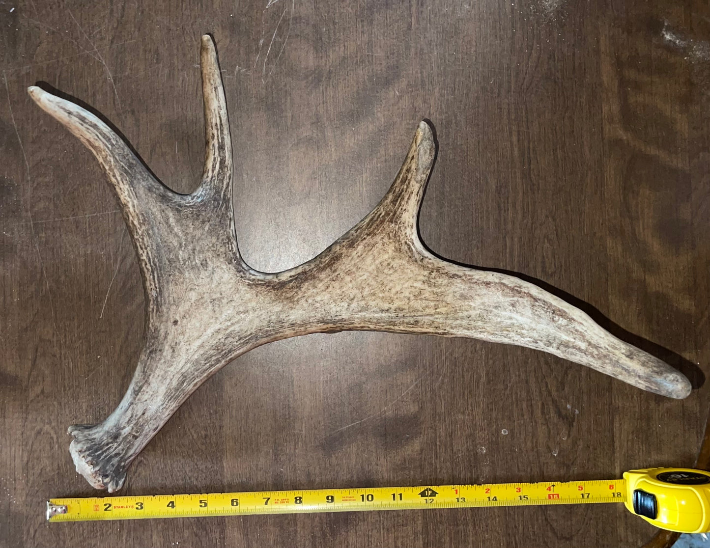 Moose Shed #July19