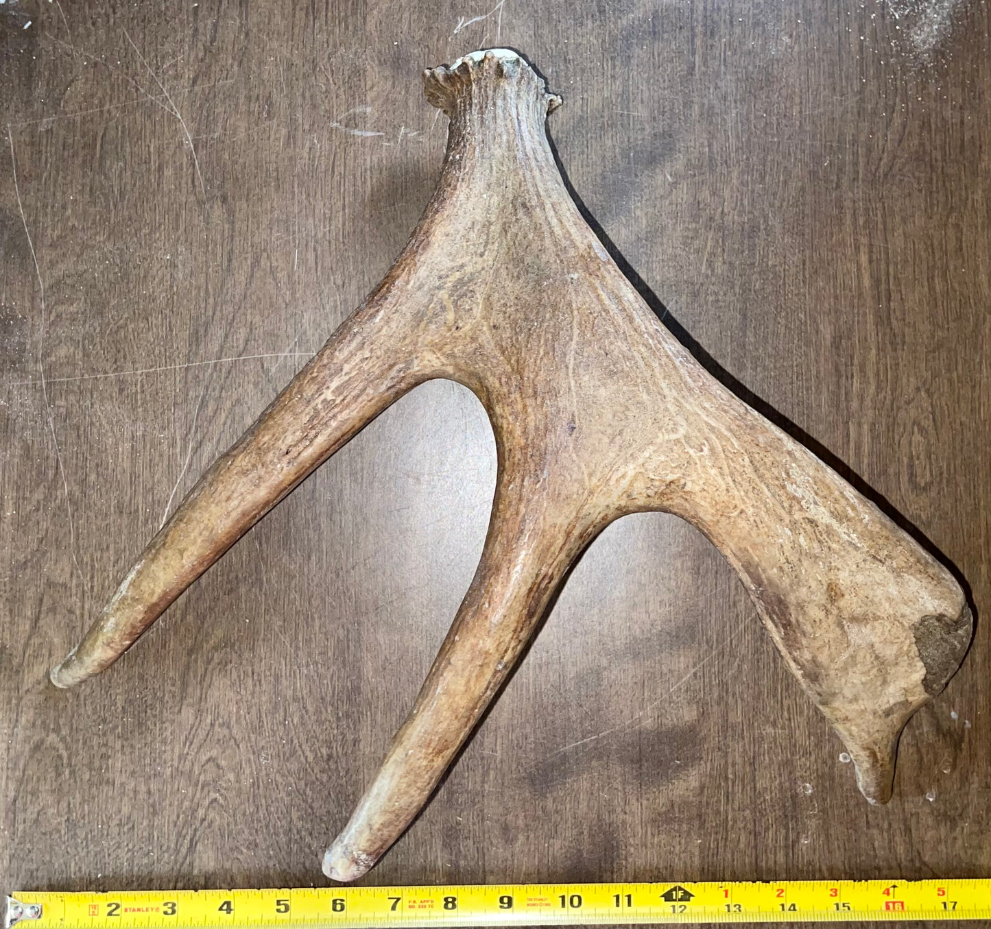 Moose Shed #July21