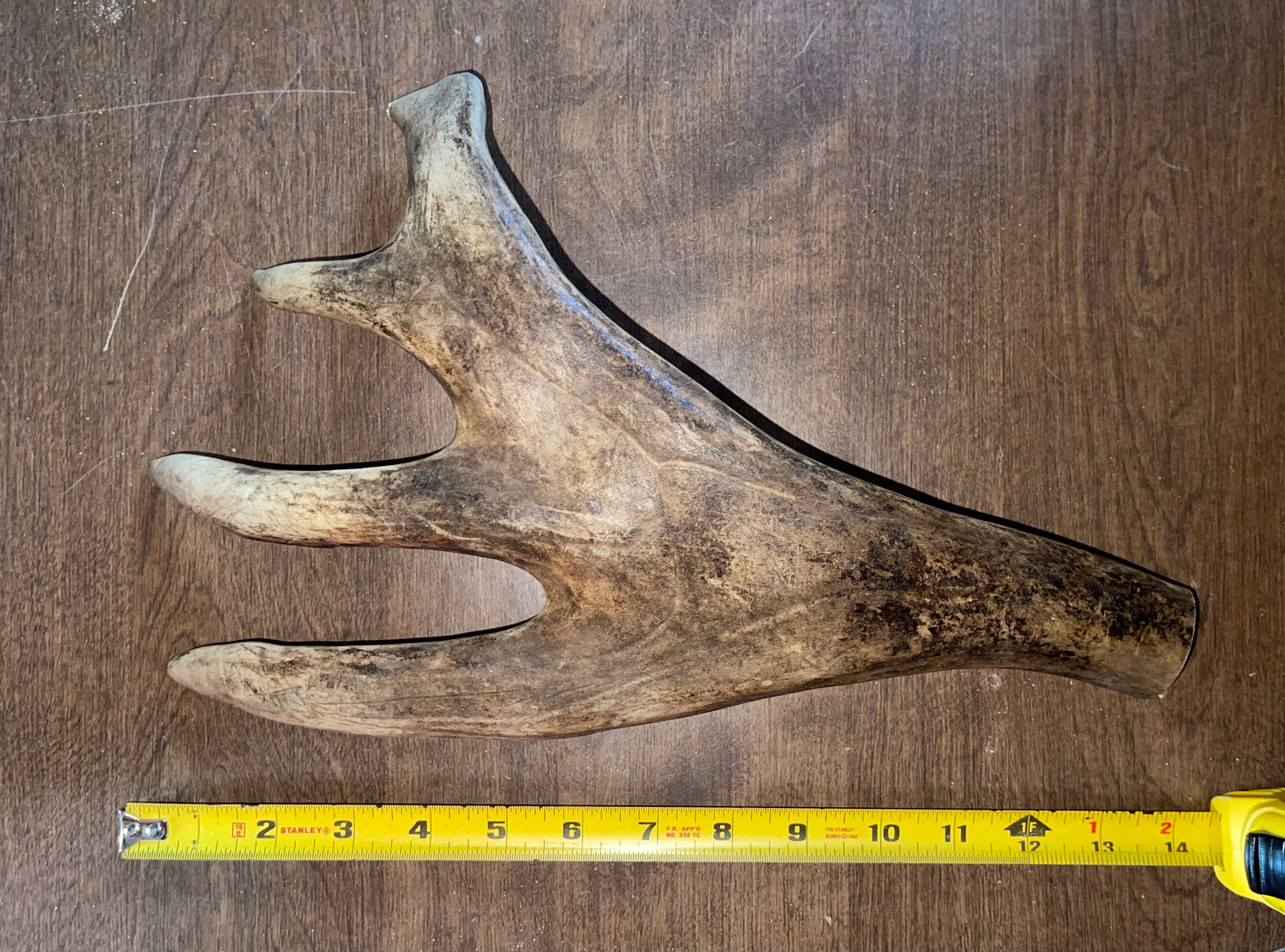 #5 Caribou Paddle