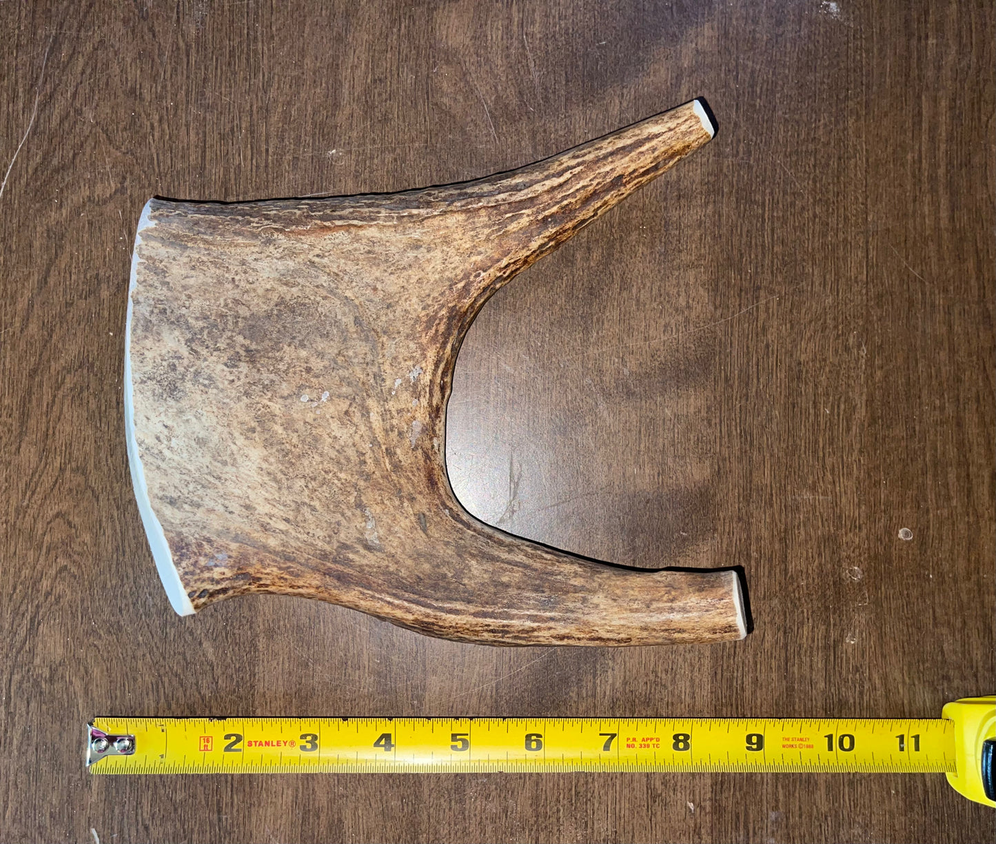 XL Plus Moose Crown Paddle Aug-3
