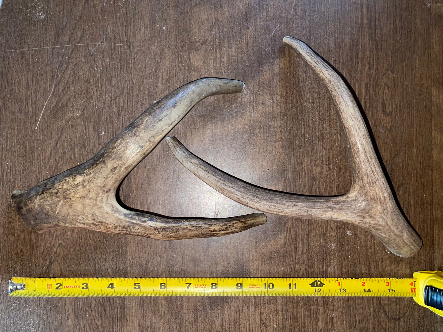 8/9/22-1 Deer Duo Fork Shape