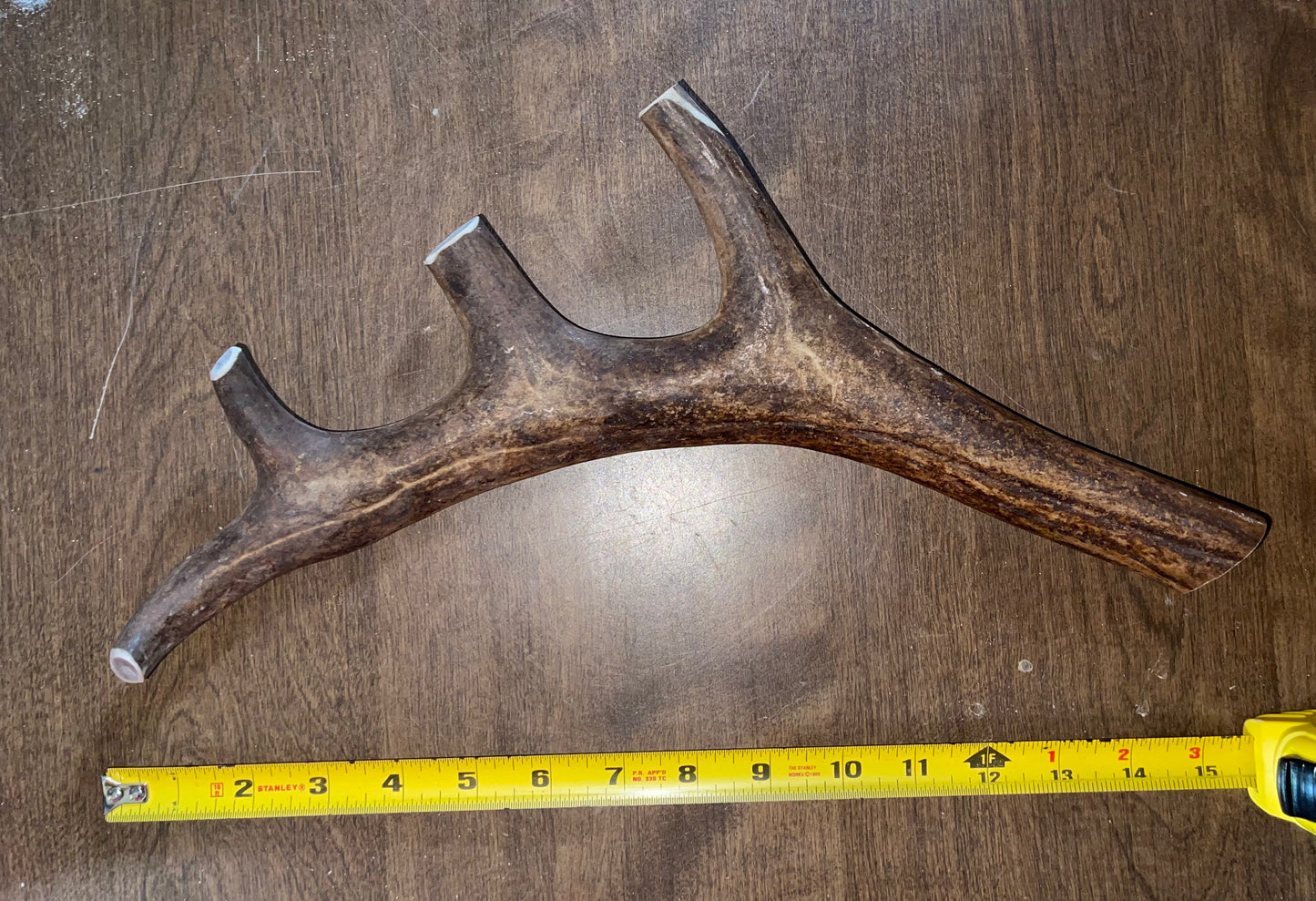 #9 Caribou Paddle