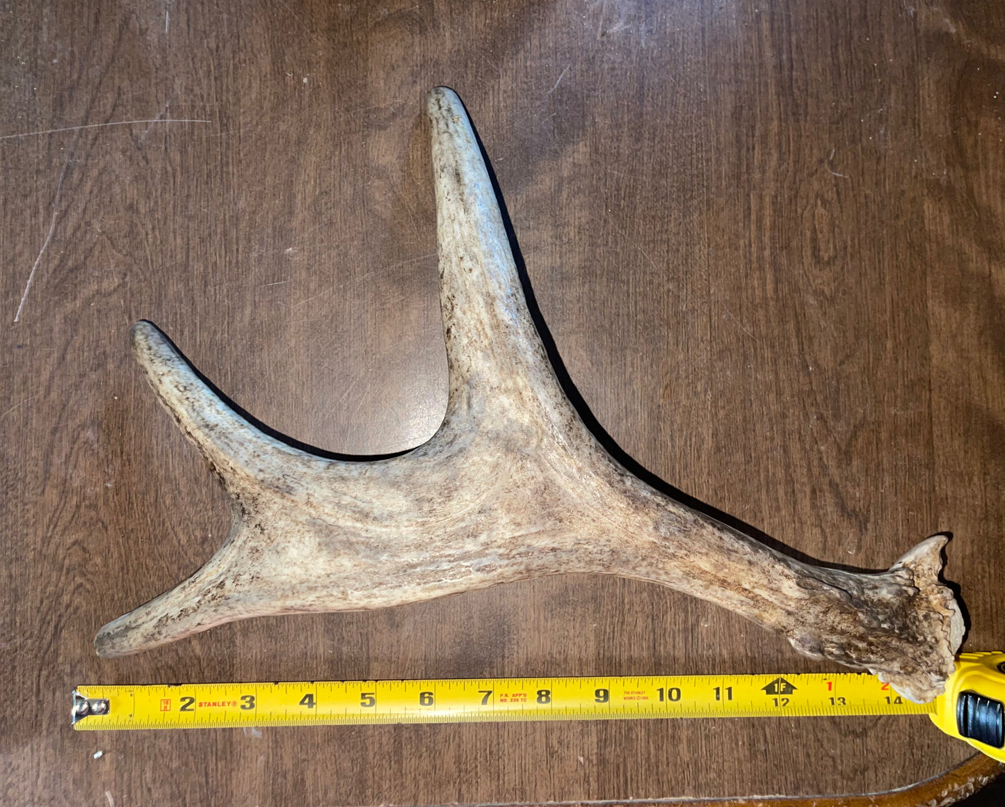 #12- 8/17/2 Moose Shed