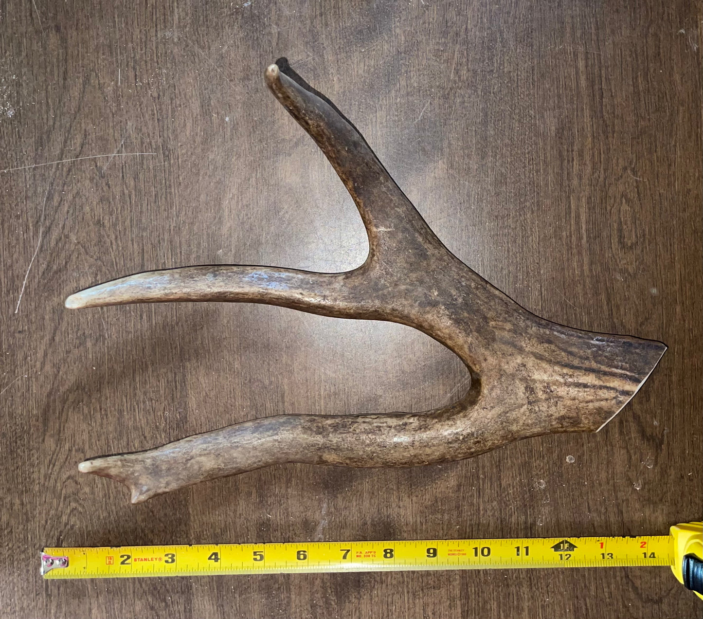 #6 Caribou Paddle