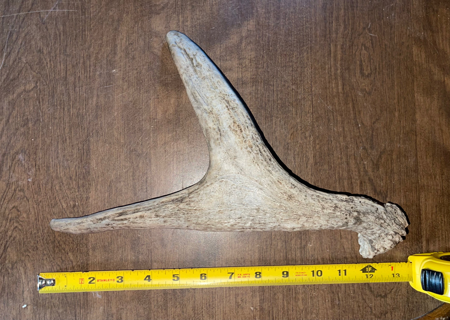#11- 8/17/2 Moose Shed