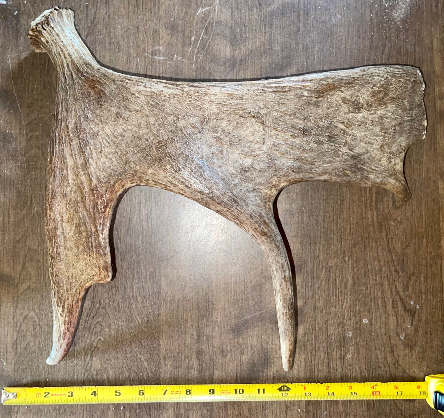 Moose Shed #July20