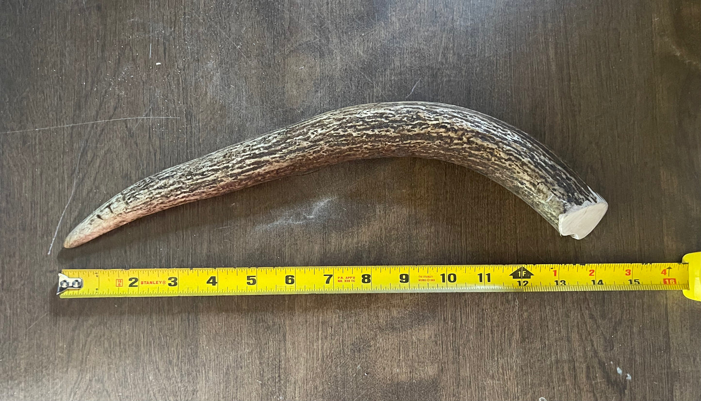 Monster Moose Tine J-4